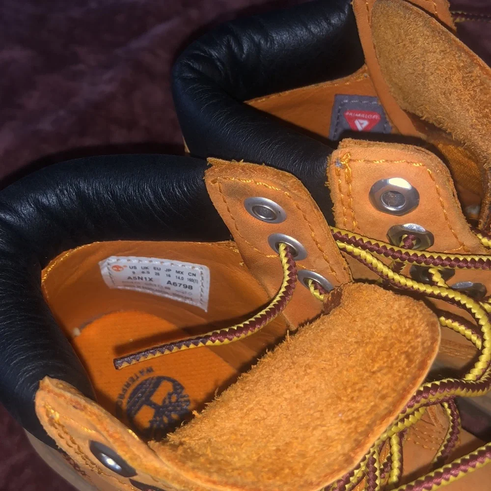 Timberlands - Picture 4 of 6